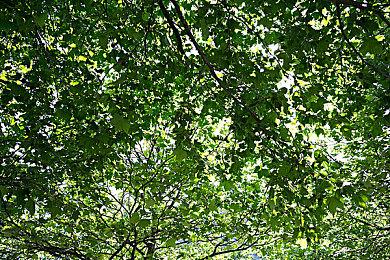 《群星》新扩展包9月22日发布 全面重制灵能飞升