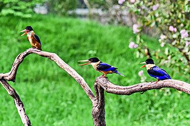 分析机构：PS5今年销量是Xbox Series三倍